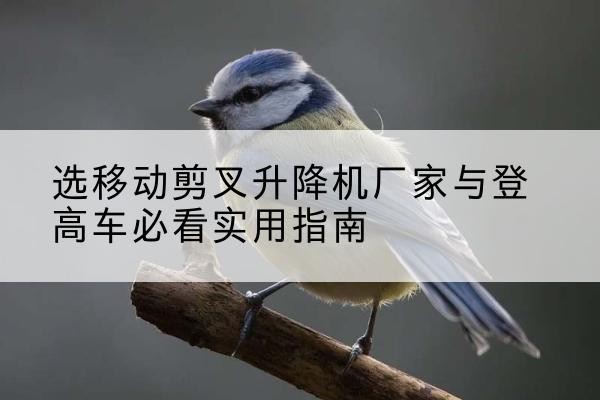 翠屏电动升降机厂家-选移动剪叉升降机厂家与登高车必看实用指南