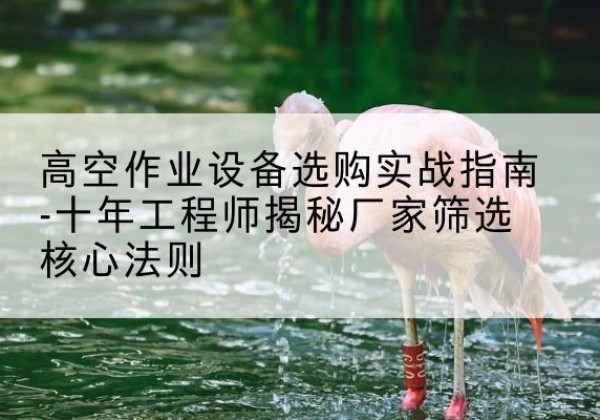 翠屏剪叉式升降机厂家-高空作业设备选购实战指南-十年工程师揭秘厂家筛选核心法则